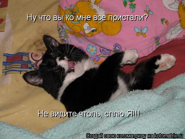 Ну что вы ко мне все пристали? Не видите чтоль, сплю Я!!!... Котоматрица: Ну что вы ко мне все пристали? Не видите чтоль, сплю Я!!!