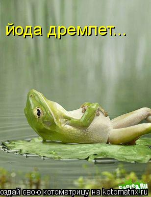 йода дремлет...... Котоматрица: йода дремлет...
