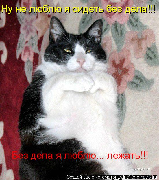 Ну не люблю я сидеть без дела!!! Без дела я люблю... лежать!!!... Котоматрица: Ну не люблю я сидеть без дела!!! Без дела я люблю... лежать!!!