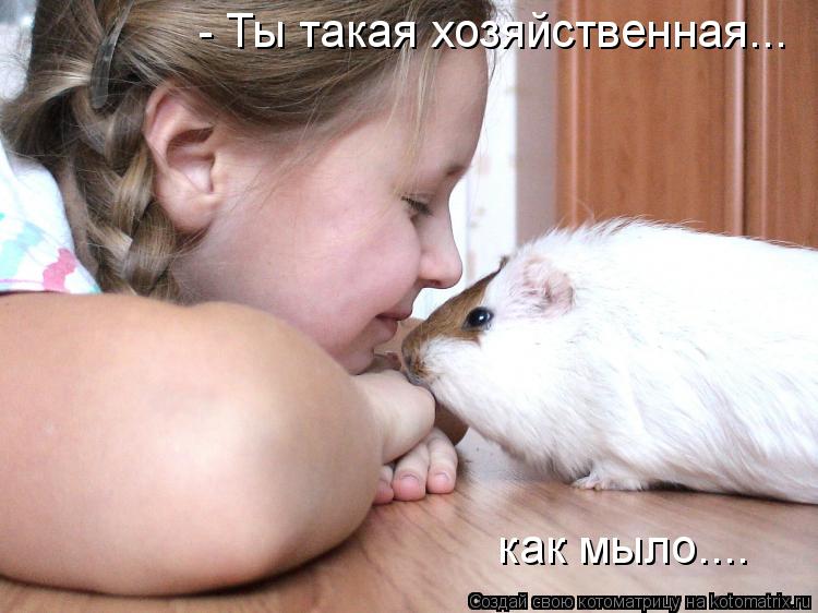 - Ты такая хозяйственная... как мыло....... Котоматрица: - Ты такая хозяйственная... как мыло....