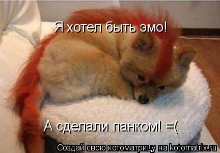 Я хотел быть эмо! Я хотел быть эмо! Я хотел быть эмо! А сделали панком! =(... Котоматрица: Я хотел быть эмо! Я хотел быть эмо! Я хотел быть эмо! А сделали панком! =(