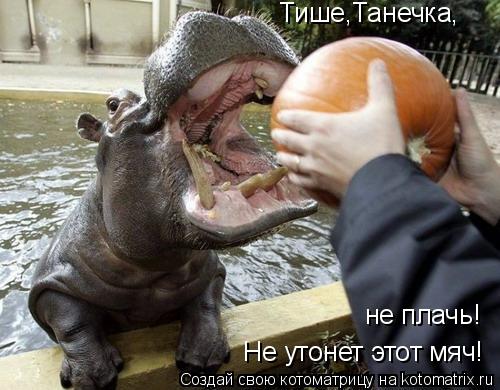 Тише,Танечка, не плачь! Не утонет этот мяч!... Котоматрица: Тише,Танечка, не плачь! Не утонет этот мяч!