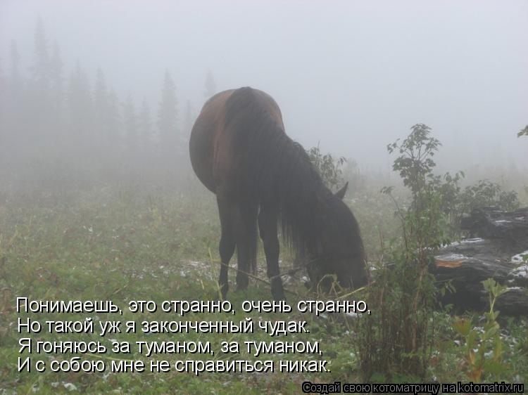 Понимаешь, это странно, очень странно, Но такой уж я законченный чудак. Я гоняюсь за туманом, за тума... Котоматрица: Понимаешь, это странно, очень странно, Но такой уж я законченный чудак. Я гоняюсь за туманом, за туманом, И с собою мне не справиться никак.
