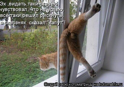 Эх ,видать,таки старею, чувствовал, что не успею, всё-таки,решил рискнуть, а сквозняк сказал:"капут"... Котоматрица: Эх ,видать,таки старею, чувствовал, что не успею, всё-таки,решил рискнуть, а сквозняк сказал:"капут"!