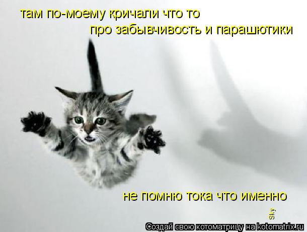 там по-моему кричали что то про забывчивость и парашютики не помню тока что именно Sky... Котоматрица: там по-моему кричали что то про забывчивость и парашютики не помню тока что именно Sky