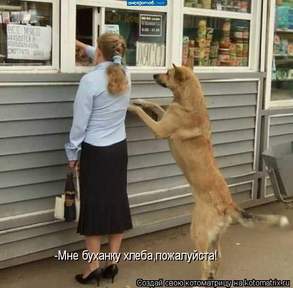 -Мне буханку хлеба,пожалуйста!... Котоматрица: -Мне буханку хлеба,пожалуйста!