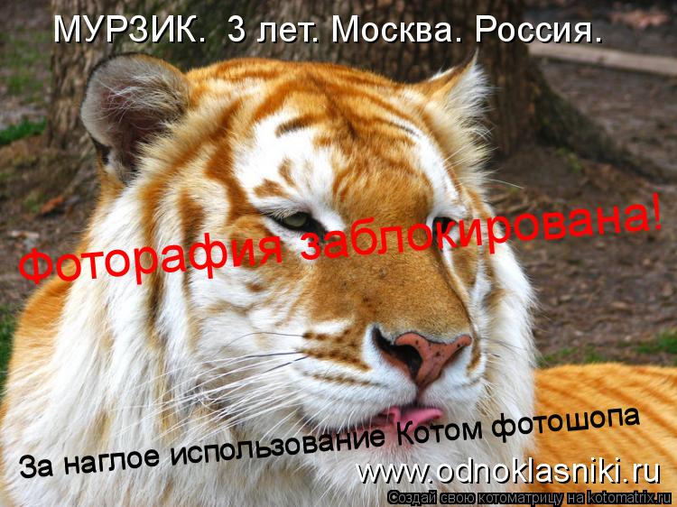 За наглое использование Котом фотошопа За наглое использование Котом фотошопа www.odnoklasniki.ru МУР... Котоматрица: За наглое использование Котом фотошопа За наглое использование Котом фотошопа www.odnoklasniki.ru МУРЗИК. 3 лет. Москва. Россия. Фоторафия заблокир