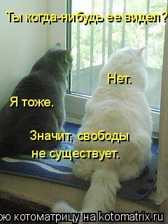 Ты когда-нибудь ее видел? Нет. Я тоже. Значит, свободы не существует.... Котоматрица: Ты когда-нибудь ее видел? Нет. Я тоже. Значит, свободы не существует.