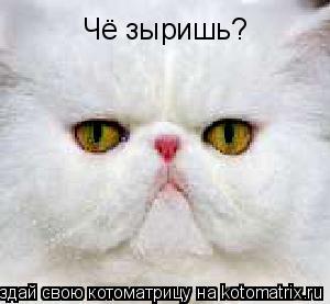 Чё зыришь?... Котоматрица: Чё зыришь?
