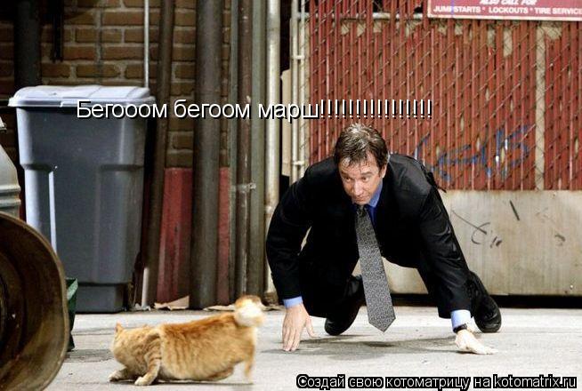 Бегооом бегоом марш!!!!!!!!!!!!!!!!... Котоматрица: Бегооом бегоом марш!!!!!!!!!!!!!!!!