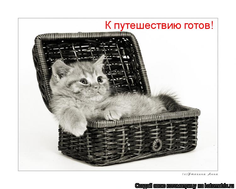К путешествию готов!... Котоматрица: К путешествию готов!