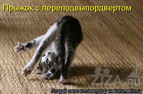 Прыжок с переподвыпордвертом... Котоматрица: Прыжок с переподвыпордвертом
