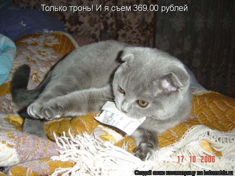 Только тронь! И я съем 369.00 рублей... Котоматрица: Только тронь! И я съем 369.00 рублей