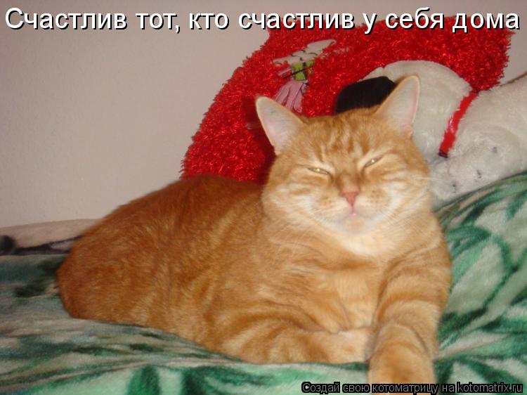 Счастлив тот, кто счастлив у себя дома... Котоматрица: Счастлив тот, кто счастлив у себя дома