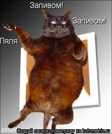 Запивом! Запивом! Ляля... Котоматрица: Запивом! Запивом! Ляля