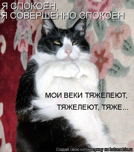 Я СПОКОЕН, Я СОВЕРШЕННО СПОКОЕН МОИ ВЕКИ ТЯЖЕЛЕЮТ, ТЯЖЕЛЕЮТ, ТЯЖЕ...... Котоматрица: Я СПОКОЕН, Я СОВЕРШЕННО СПОКОЕН МОИ ВЕКИ ТЯЖЕЛЕЮТ, ТЯЖЕЛЕЮТ, ТЯЖЕ...