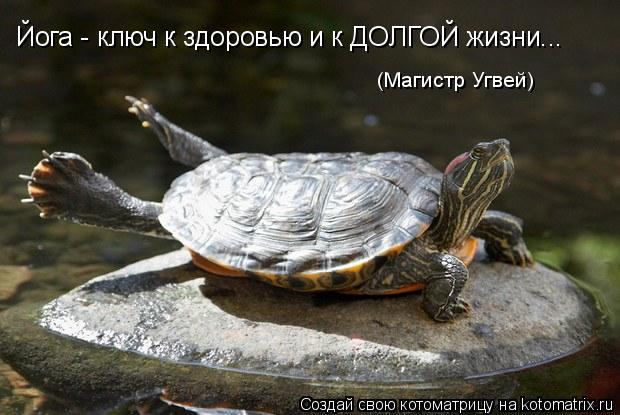 Йога - ключ к здоровью и к ДОЛГОЙ жизни... (Магистр Угвей)... Котоматрица: Йога - ключ к здоровью и к ДОЛГОЙ жизни... (Магистр Угвей)
