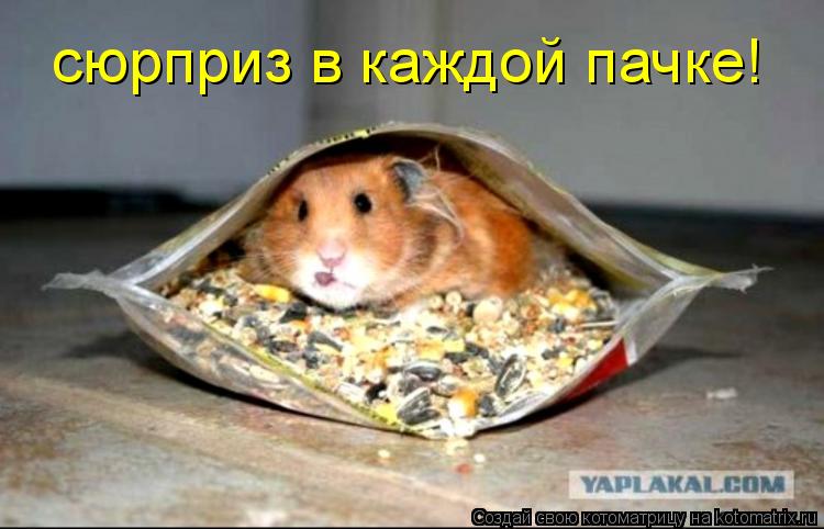 сюрприз в каждой пачке!... Котоматрица: сюрприз в каждой пачке!