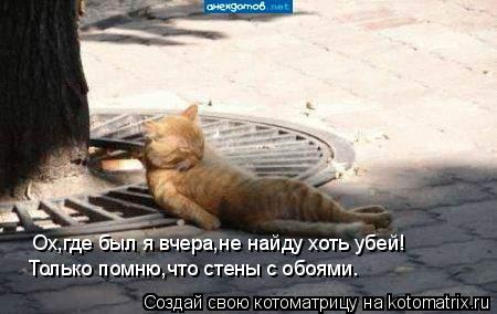 Ох,где был я вчера,не найду хоть убей! Только помню,что стены с обоями.... Котоматрица: Ох,где был я вчера,не найду хоть убей! Только помню,что стены с обоями.
