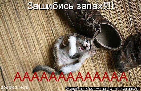 Зашибись запах!!!! ААААААААААААА... Котоматрица: Зашибись запах!!!! ААААААААААААА