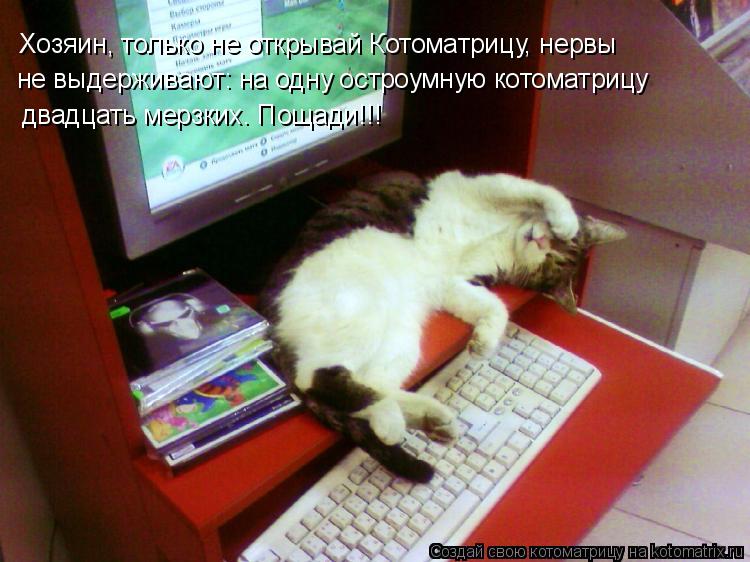 Хозяин, только не открывай Котоматрицу, нервы не выдерживают: на одну остроумную котоматрицу двад... Котоматрица: Хозяин, только не открывай Котоматрицу, нервы не выдерживают: на одну остроумную котоматрицу двадцать мерзких. Пощади!!!