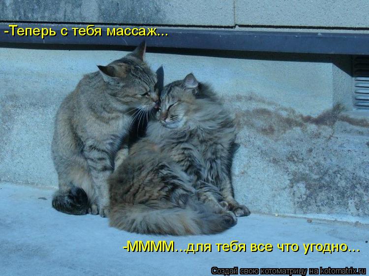 -Теперь с тебя массаж... -ММММ...для тебя все что угодно...... Котоматрица: -Теперь с тебя массаж... -ММММ...для тебя все что угодно...