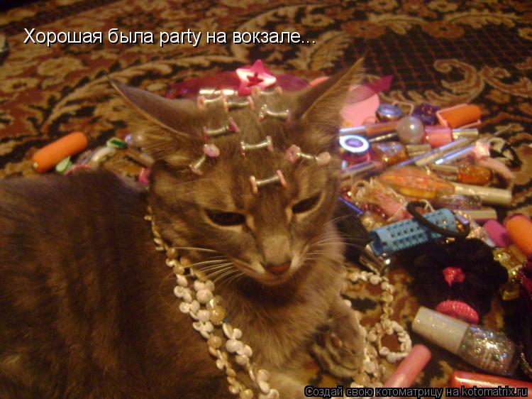 Хорошая была party на вокзале...... Котоматрица: Хорошая была party на вокзале...