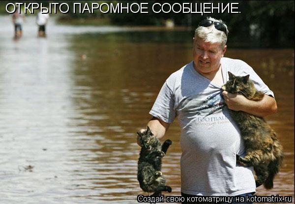 ОТКРЫТО ПАРОМНОЕ СООБЩЕНИЕ.... Котоматрица: ОТКРЫТО ПАРОМНОЕ СООБЩЕНИЕ.