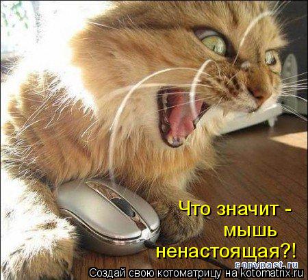 Что значит - мышь ненастоящая?!... Котоматрица: Что значит - мышь ненастоящая?!