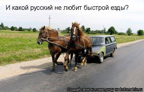 И какой русский не любит быстрой езды?... Котоматрица: И какой русский не любит быстрой езды?