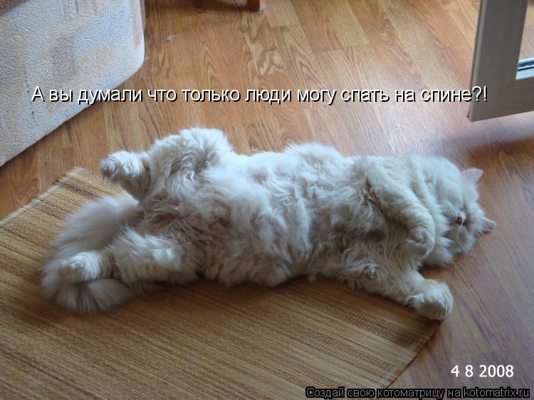 А вы думали что только люди могу спать на спине?!... Котоматрица: А вы думали что только люди могу спать на спине?!