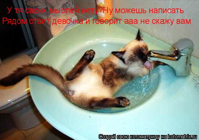 У тя своих мыслей нету?Ну можешь написать Рядом стоит девочка и говорит ааа не скажу вам... Котоматрица: У тя своих мыслей нету?Ну можешь написать Рядом стоит девочка и говорит ааа не скажу вам