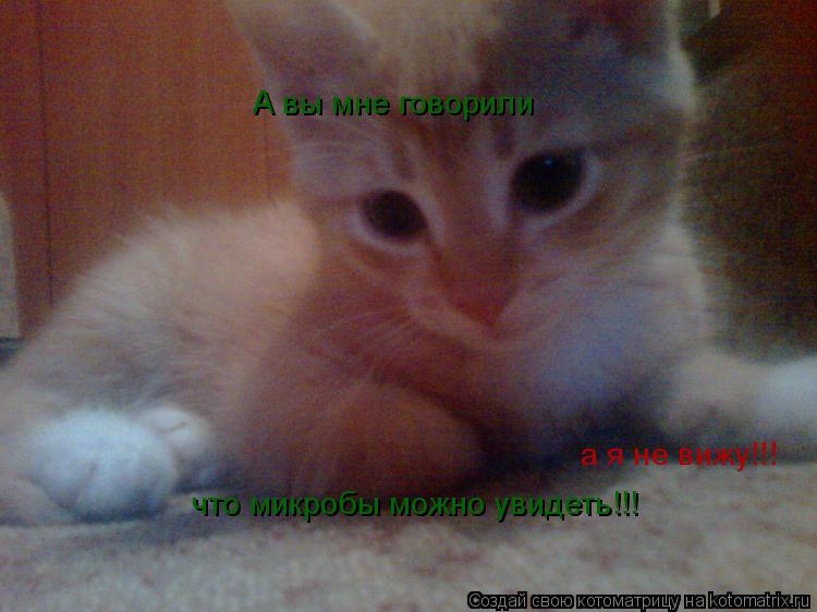 А вы мне говорили что микробы можно увидеть!!! а я не вижу!!!... Котоматрица: А вы мне говорили что микробы можно увидеть!!! а я не вижу!!!