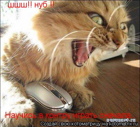 шшш!! нуб !! Научись в контру играть сначала..... Котоматрица: шшш!! нуб !! Научись в контру играть сначала..