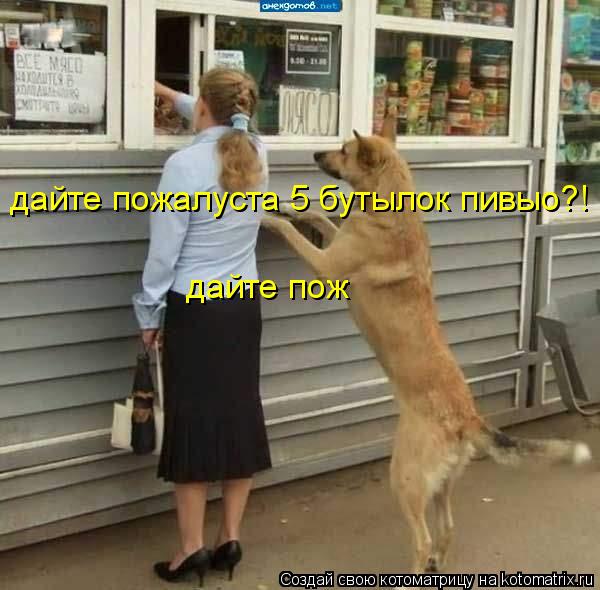 дайте пож дайте пожалуста 5 бутылок пивыо?!... Котоматрица: дайте пож дайте пожалуста 5 бутылок пивыо?!