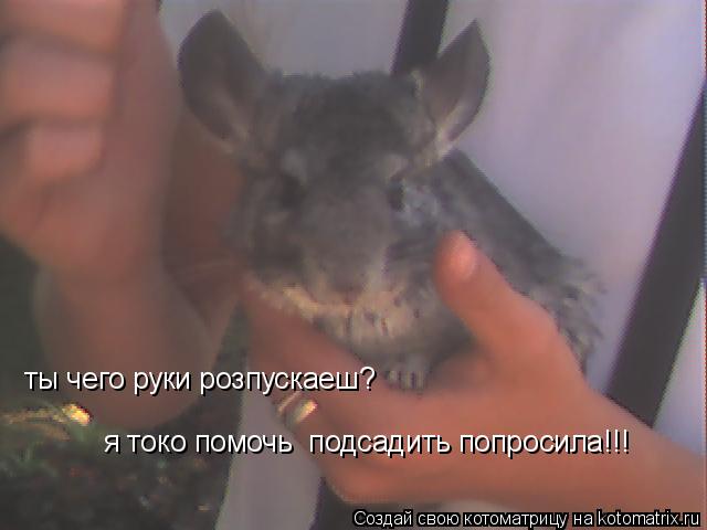 ты чего руки розпускаеш? я токо помочь подсадить попросила!!!... Котоматрица: ты чего руки розпускаеш? я токо помочь подсадить попросила!!!