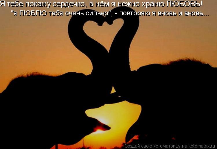 Я тебе покажу сердечко, в нём я нежно храню ЛЮБОВЬ! "я ЛЮБЛЮ тебя очень сильно", - повторяю я вновь и... Котоматрица: Я тебе покажу сердечко, в нём я нежно храню ЛЮБОВЬ! "я ЛЮБЛЮ тебя очень сильно", - повторяю я вновь и вновь...