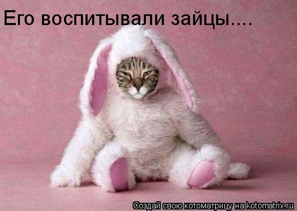 Его воспитывали зайцы....... Котоматрица: Его воспитывали зайцы....