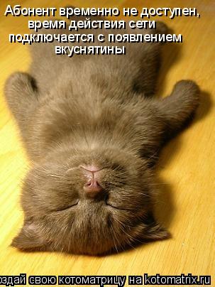 Абонент временно не доступен, время действия сети подключается с появлением вкуснятины... Котоматрица: Абонент временно не доступен, время действия сети подключается с появлением вкуснятины