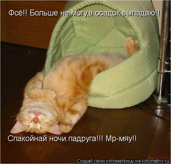 Фсё!! Больше не могу,в осадок выпадаю!! Спакойнай ночи.падруга!!! Мр-мяу!!... Котоматрица: Фсё!! Больше не могу,в осадок выпадаю!! Спакойнай ночи.падруга!!! Мр-мяу!!