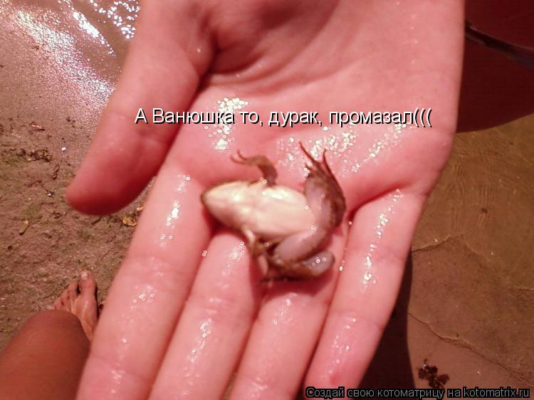 А Ванюшка то, дурак, промазал(((... Котоматрица: А Ванюшка то, дурак, промазал(((