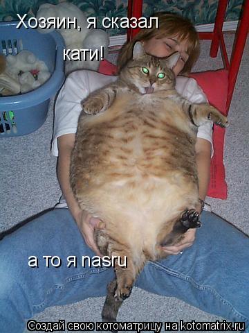 Хозяин, я сказал кати! а то я nasru... Котоматрица: Хозяин, я сказал кати! а то я nasru