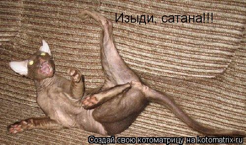Изыди, сатана!!!... Котоматрица: Изыди, сатана!!!