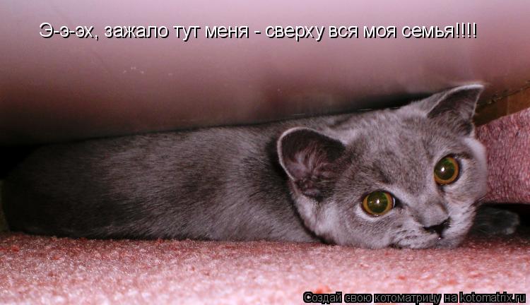 Э-э-эх, зажало тут меня - сверху вся моя семья!!!!... Котоматрица: Э-э-эх, зажало тут меня - сверху вся моя семья!!!!