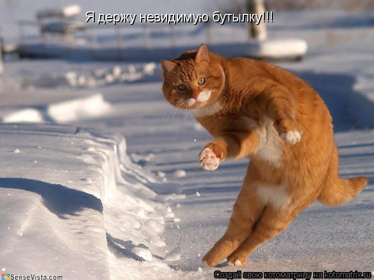 Я держу невидимую бутылку!!!... Котоматрица: Я держу невидимую бутылку!!!