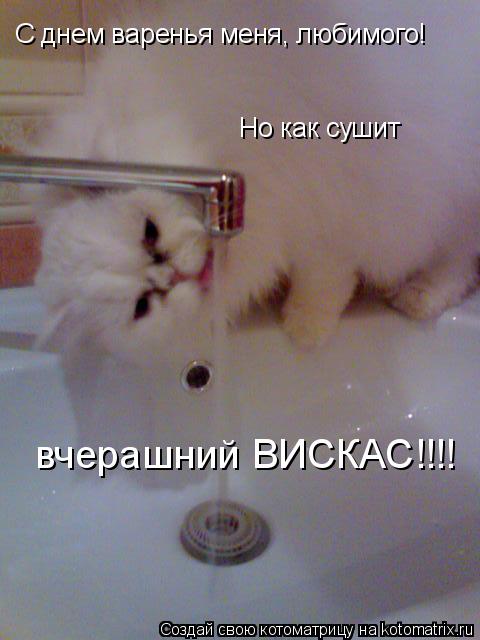 С днем варенья меня, любимого! Но как сушит вчерашний ВИСКАС!!!!... Котоматрица: С днем варенья меня, любимого! Но как сушит вчерашний ВИСКАС!!!!