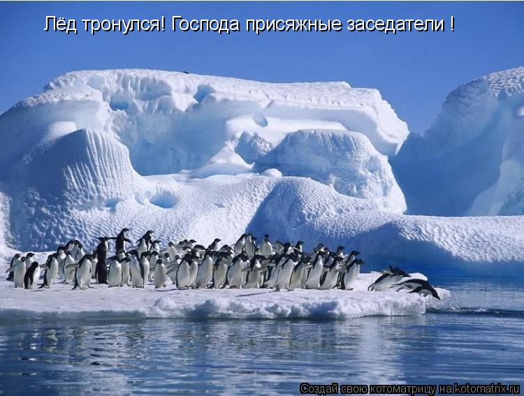 Лёд тронулся! Господа присяжные заседатели !... Котоматрица: Лёд тронулся! Господа присяжные заседатели !
