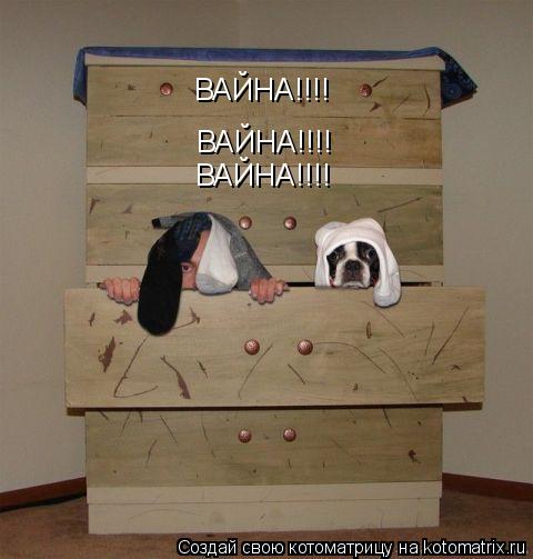 ВАЙНА!!!! ВАЙНА!!!! ВАЙНА!!!!... Котоматрица: ВАЙНА!!!! ВАЙНА!!!! ВАЙНА!!!!