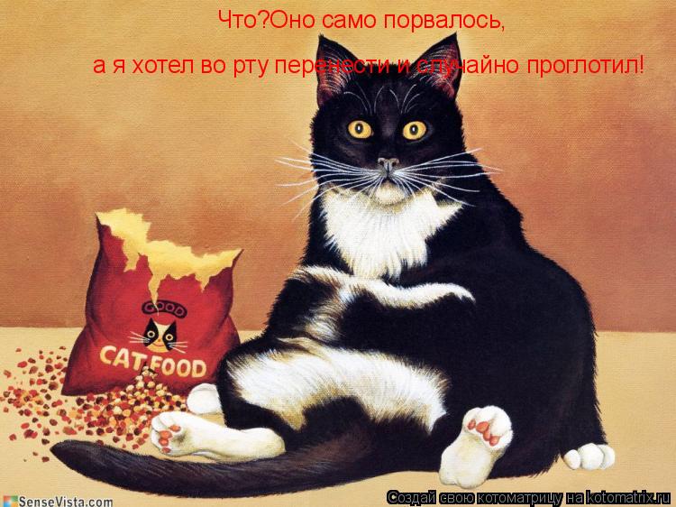 Что?Оно само порвалось, а я хотел во рту перенести и случайно проглотил!... Котоматрица: Что?Оно само порвалось, а я хотел во рту перенести и случайно проглотил!