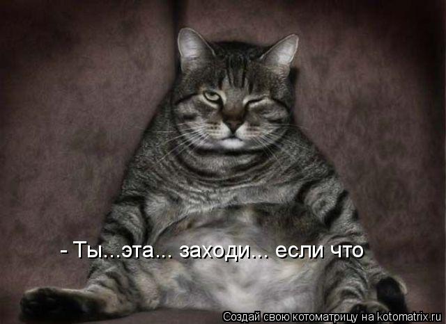 - Ты...эта... заходи... если что... Котоматрица: - Ты...эта... заходи... если что